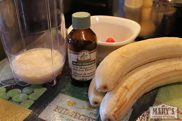 ingredients for vegan vanilla ice cream