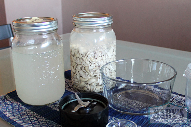 rejuvelac, soaking cashews