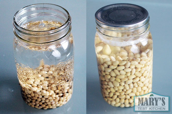 Dried soybeans in water and soaked soybeans, which have tripled in volume, side by side.