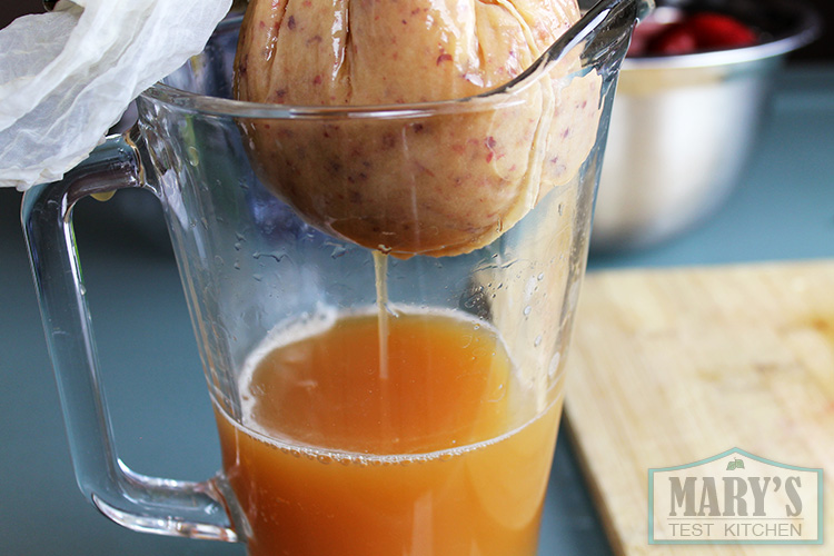 Use something to separate the juice from the pulp. I used a nut milk bag. Don't sqeeze the pulp too dry though.