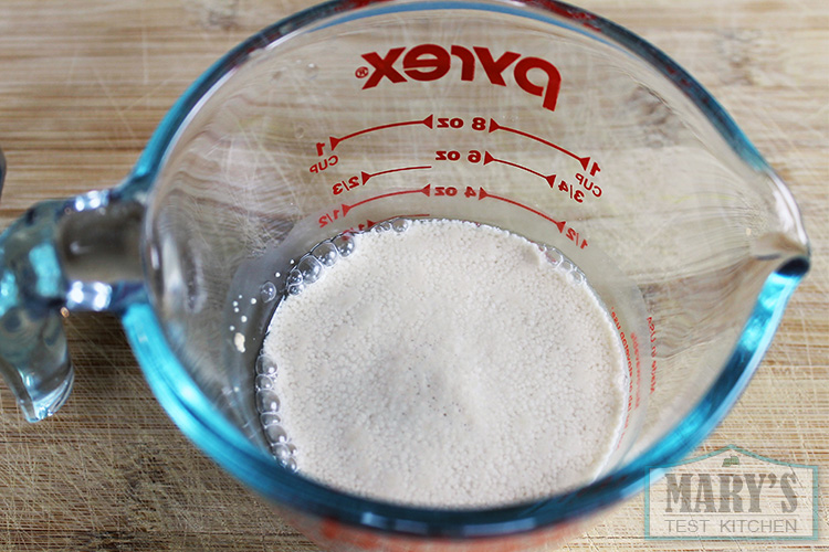 traditional dry active yeast blooming in water