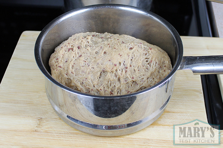 Freshly steamed seitan. It doesn't look so appetizing...yet!