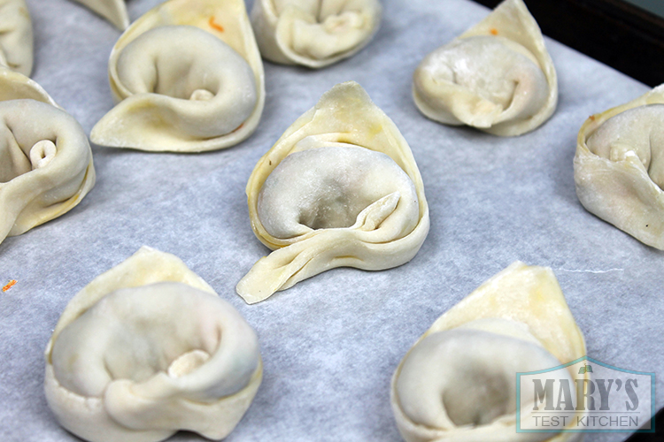 wrapped-wonton-dumplings-uncooked