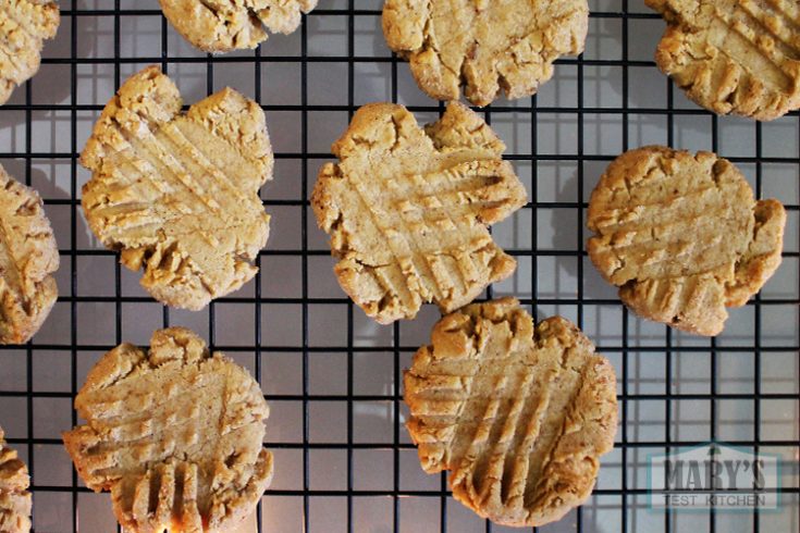 Peanut Butter Snickerdoodles Recipe