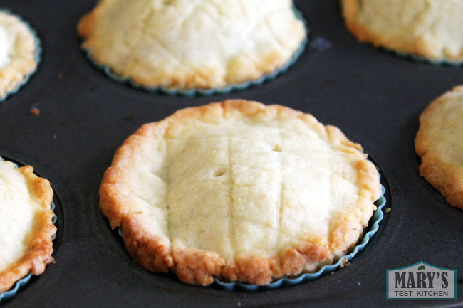 vegan-gai-pie-chinese-mini-chicken-pie