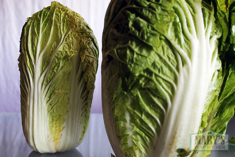 3lbs of napa cabbage. The outer leaves were in bad shape so after trimming, this became 2lbs.