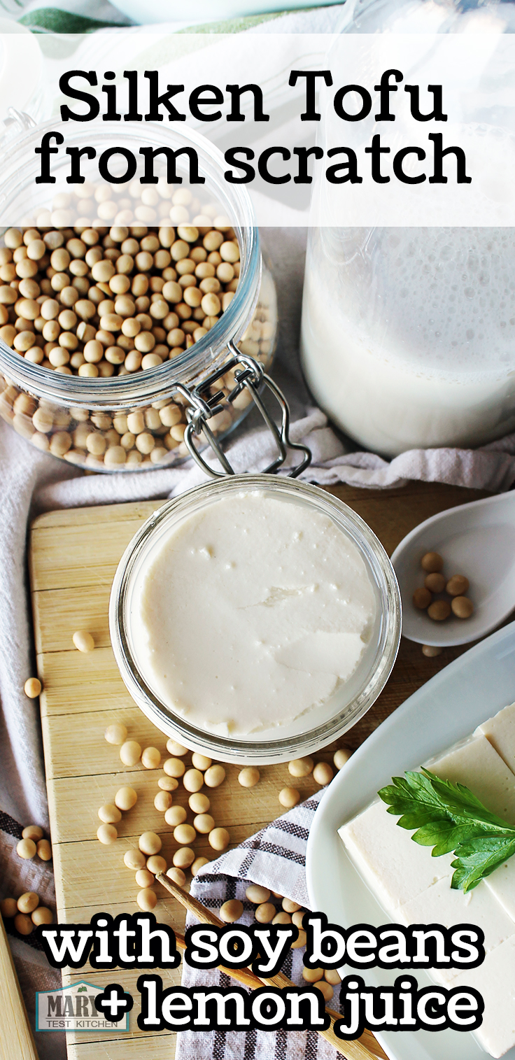 How to make Silken Tofu with soy beans and lemon juice Mary's Test