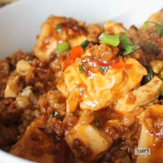 Vegan Mapo Tofu Recipe – Mary's Test Kitchen