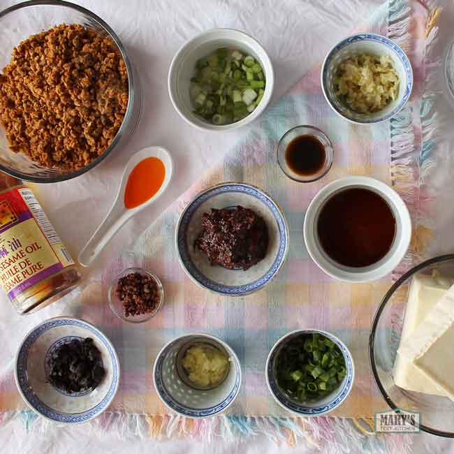 all the ingredients for vegan mapo tofu