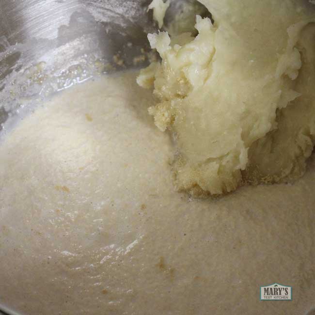 modified tangzhong and yeast mixture