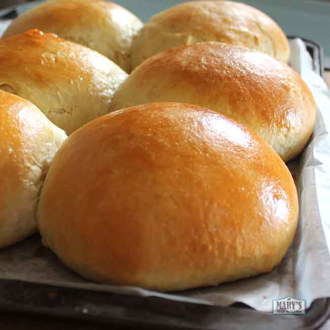 shiny giant vegan milk bread buns
