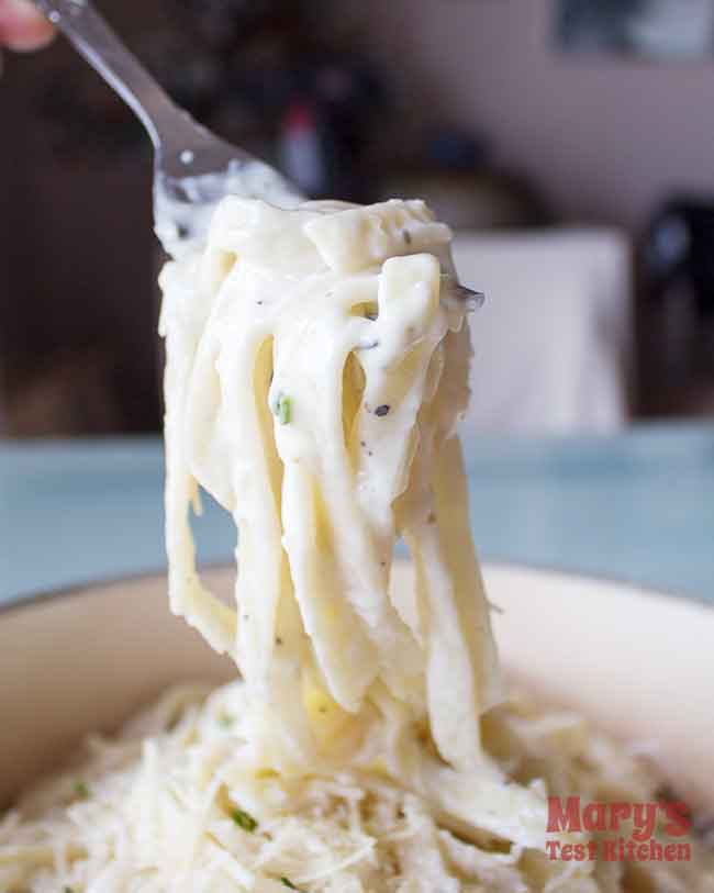 Fork full of wide pasta noodles coated in creamy white sauce