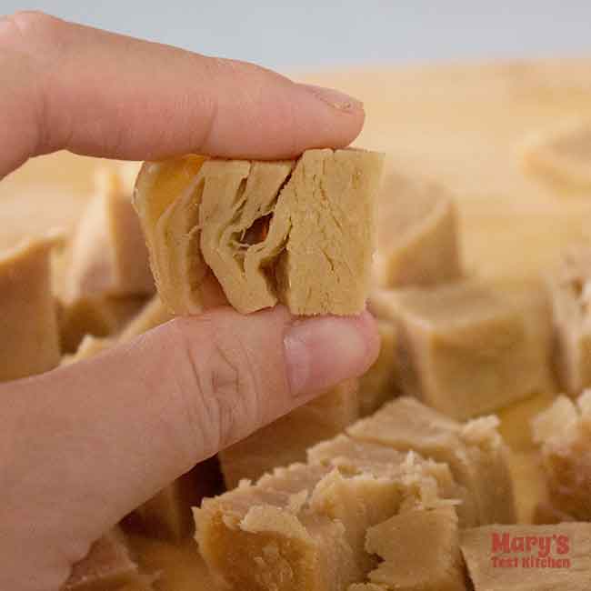 hand holding a cube of seitan showing layered texture