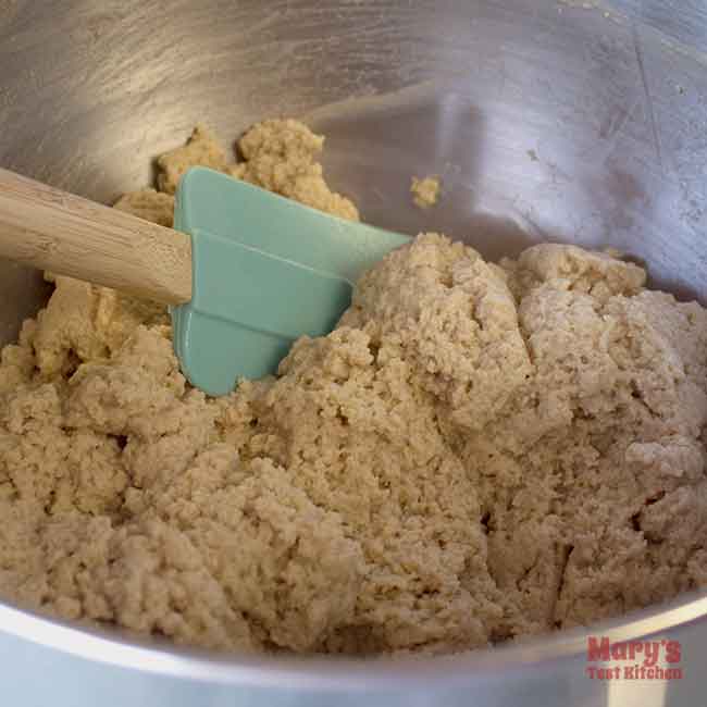 just mixed soft and wet seitan dough