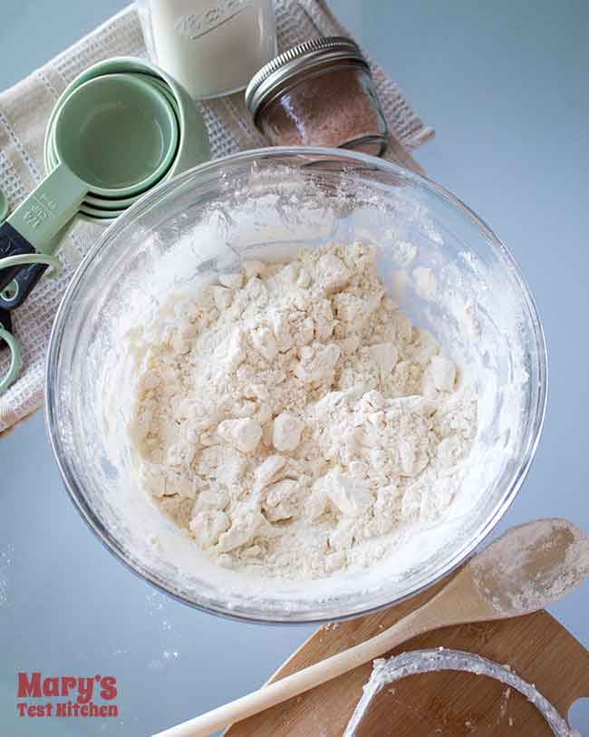 vegan pie crust dough recipe at coarse meal stage