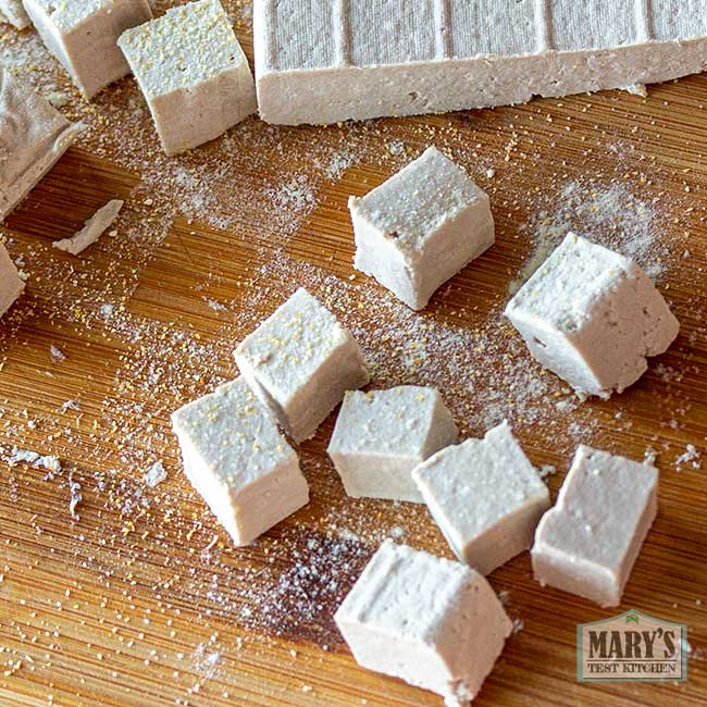 sunflower seed tofu cubes sprinkled with salt, onion powder, and garlic powder
