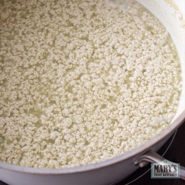 sunflower seed milk separated into curds and whey