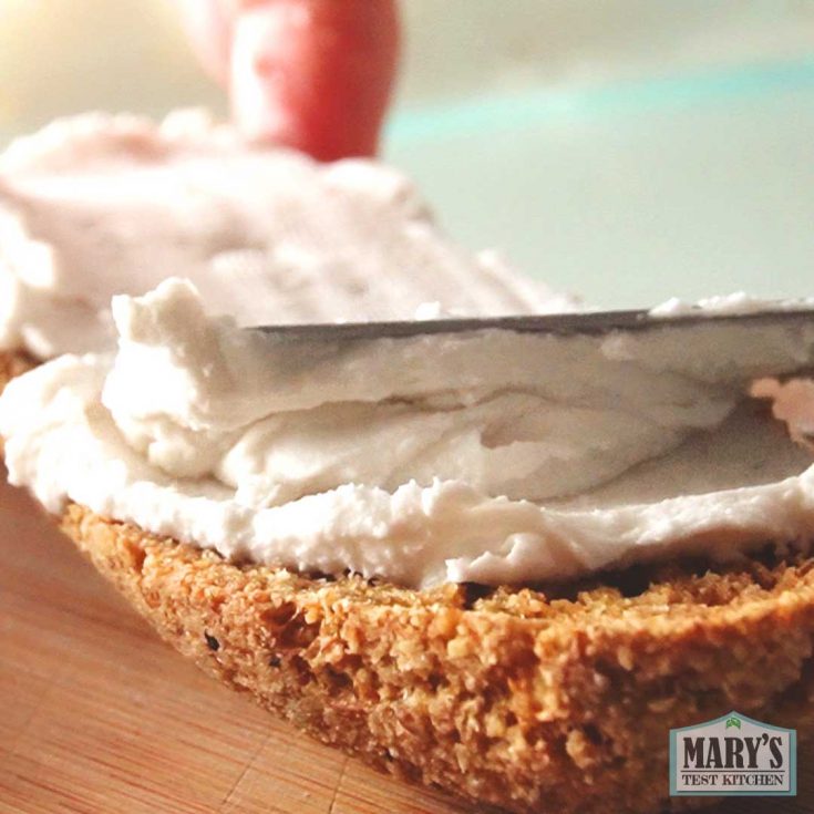 coconut cultured vegan butter spread on gluten-free bread