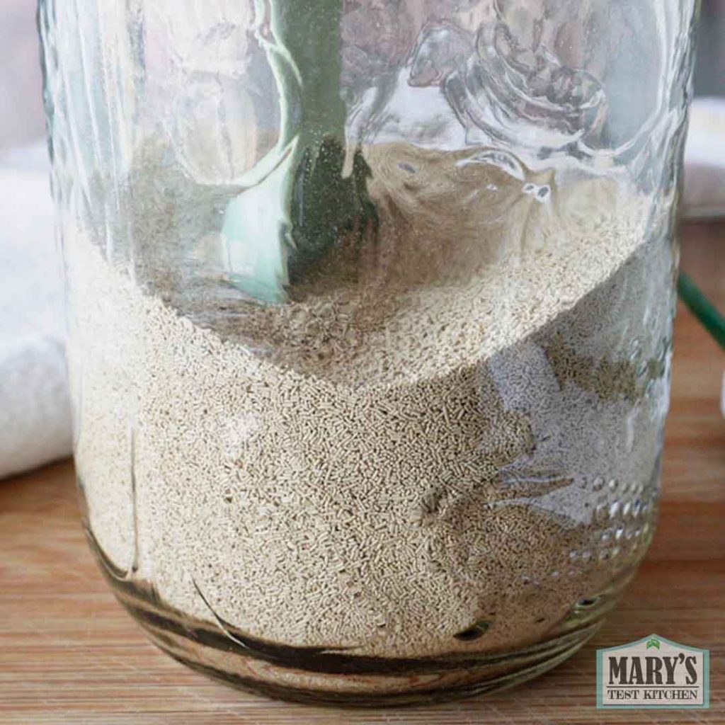 instant yeast in a jar
