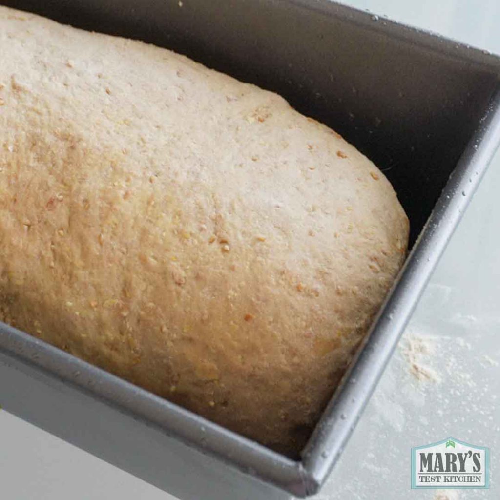rolled up vegan keto sandwich bread dough in a bread baking pan