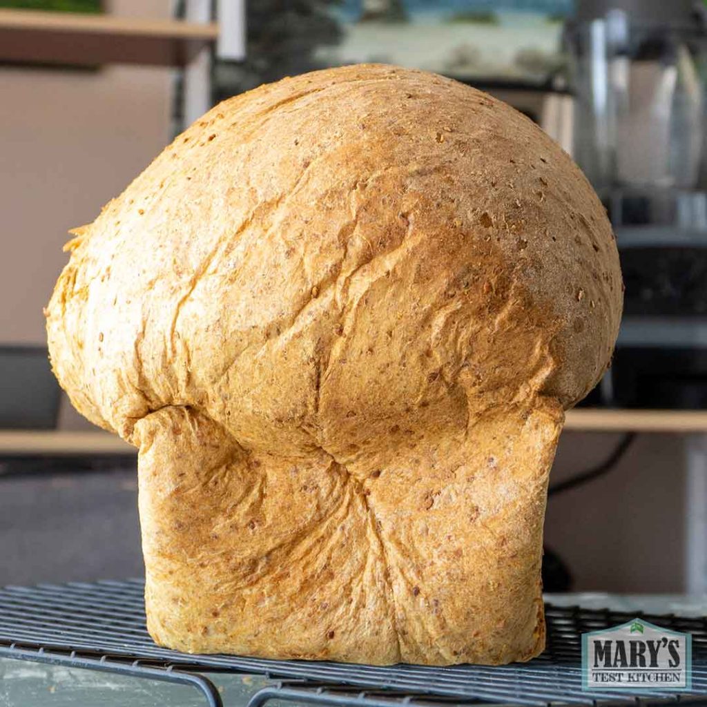 baked vegan keto sandwich bread loaf