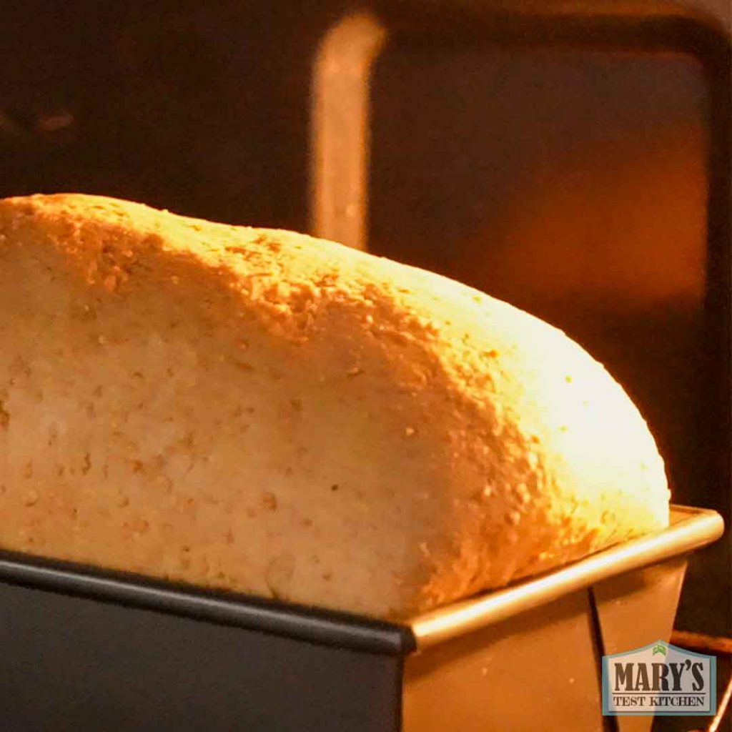 vegan keto sandwich bread loaf being baked in the oven