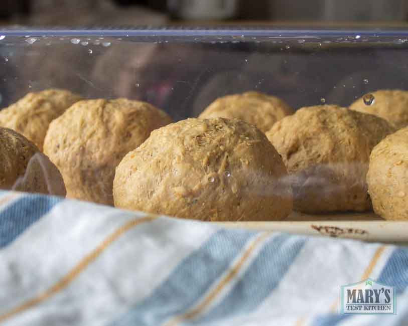 vegan keto pita dough balls under a cover