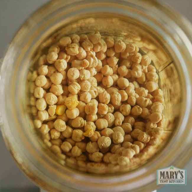 soaking dried chickpeas in water