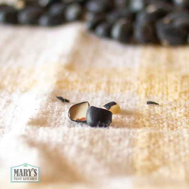 split black bean showing white interior