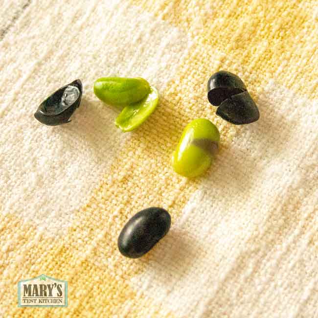 soaked black soybeans with hulls split to show green interior
