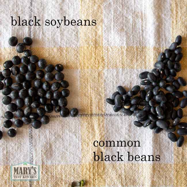 comparison between black beans and black soybeans