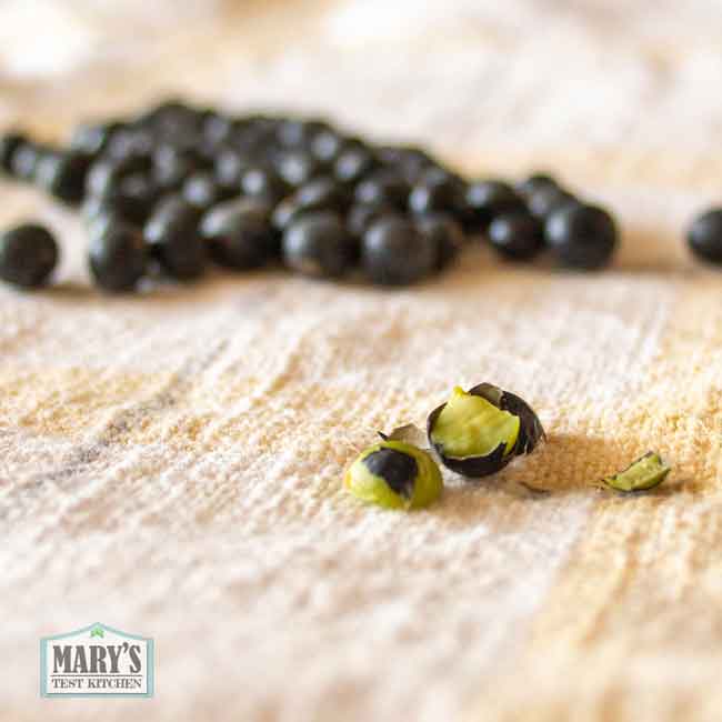 split black soybean showing green interior