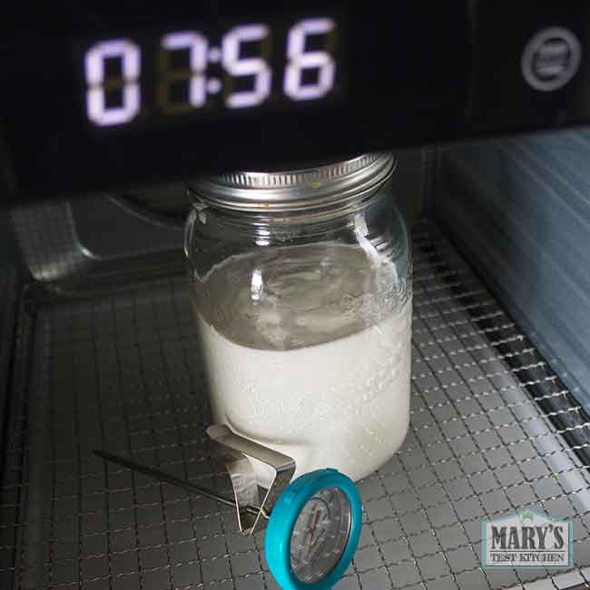 dehydrator set for 8 hours at 100°F to incubate peanut yogurt