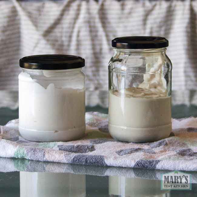jars of plain peanut yogurt and roasted peanut yogurt