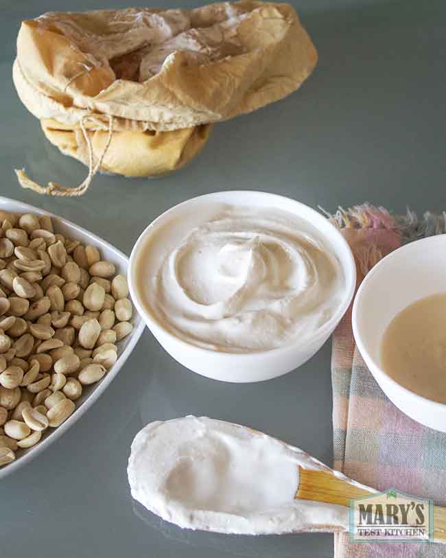 raw peanuts and yogurt made from peanuts
