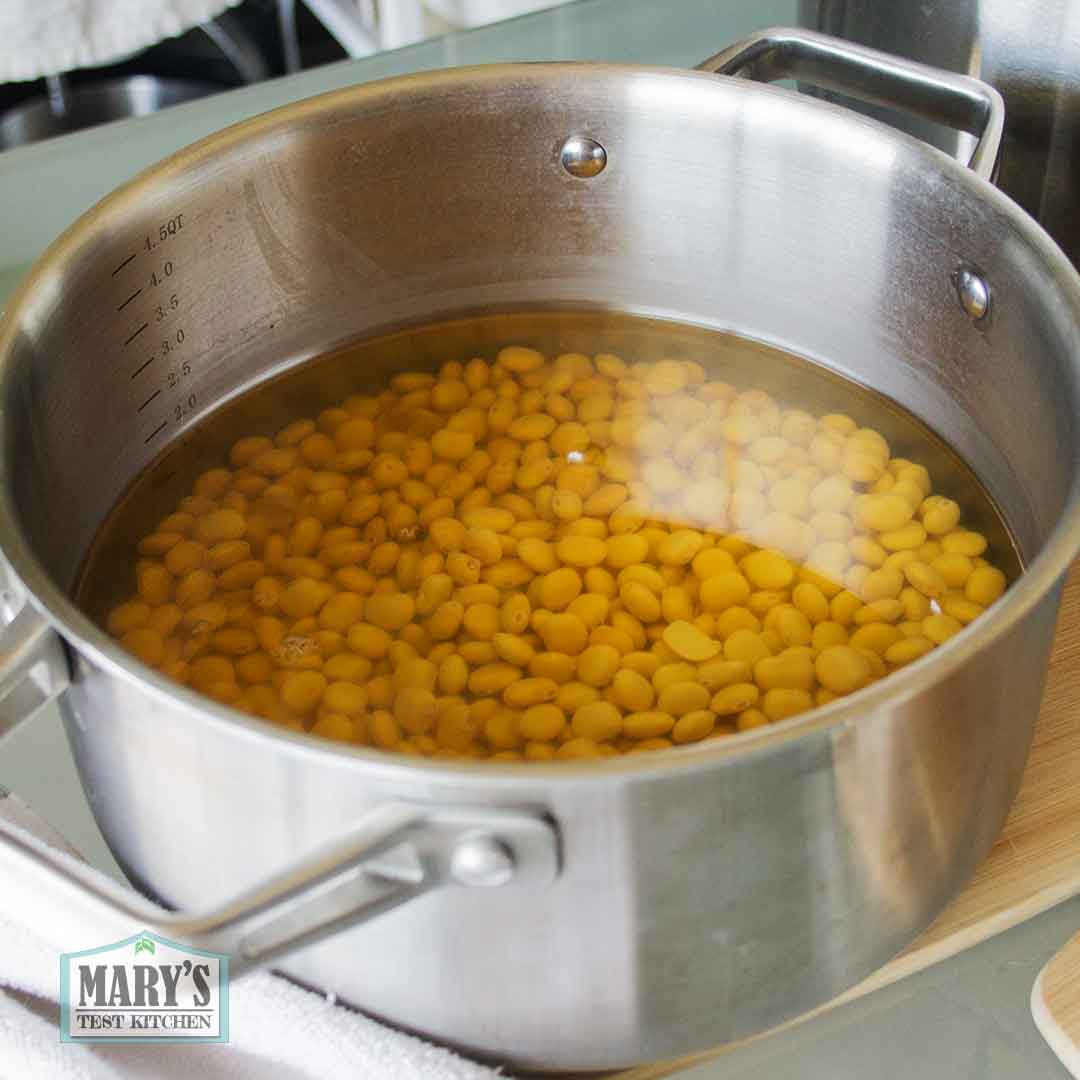 boiled sweet lupini beans in pot