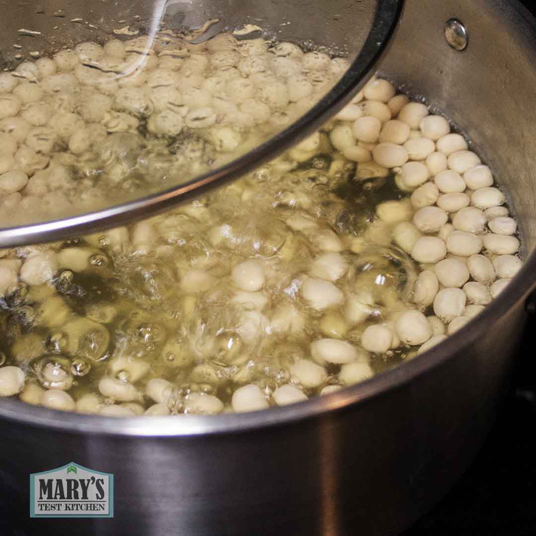 sweet lupini beans being boiled