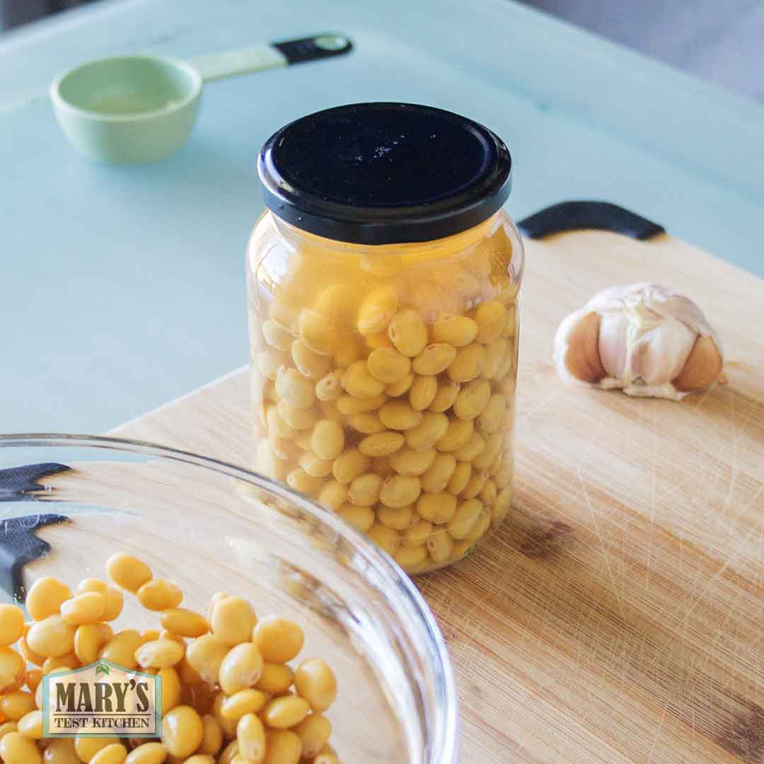 garlic and vinegar brined sweet lupini beans