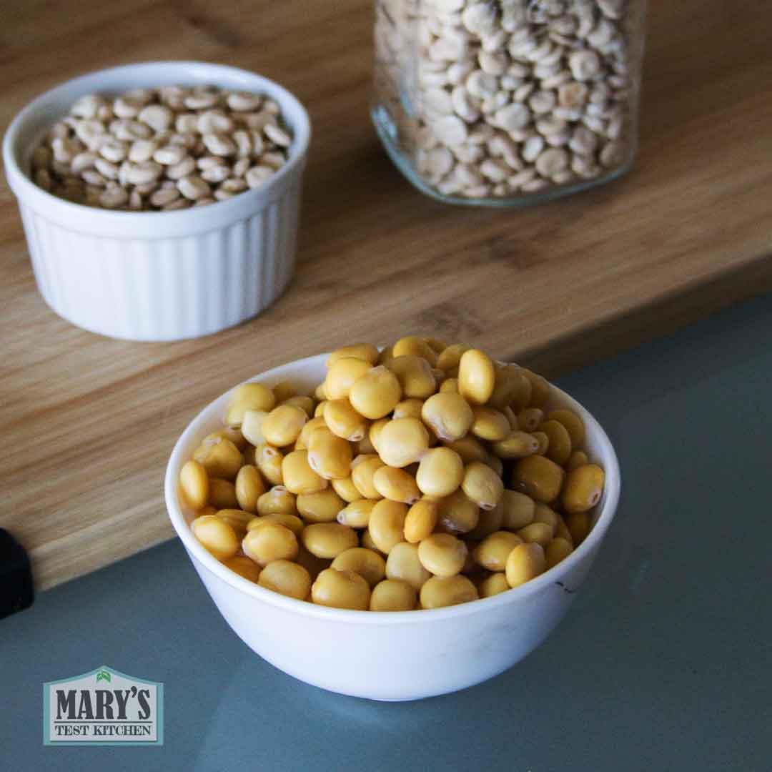 bowl of cooked sweet lupini beans in front of raw lupini beans