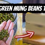 green mung beans and a stack of mung bean tofu