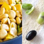 keto beans lupini and black soybean