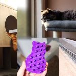 Must-Have Cat Supplies for Senior Cats: Essentials They Can’t Live Without