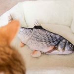 Floppy Fish Toy Review