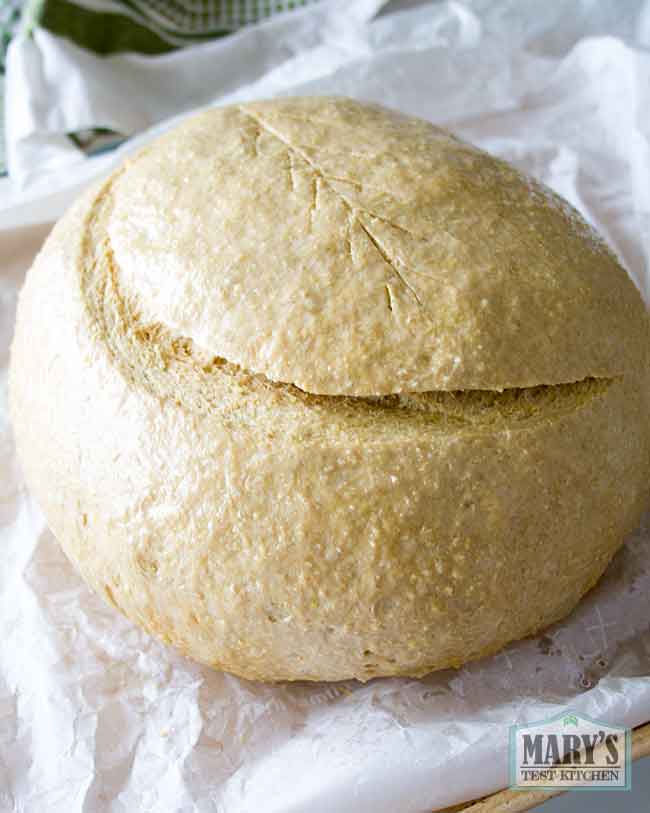 Risen loaf of vegan keto sourdough, slashed for baking
