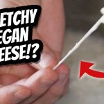 Mozzarella from Sesame?! Will it Tofu has gone 2 far!