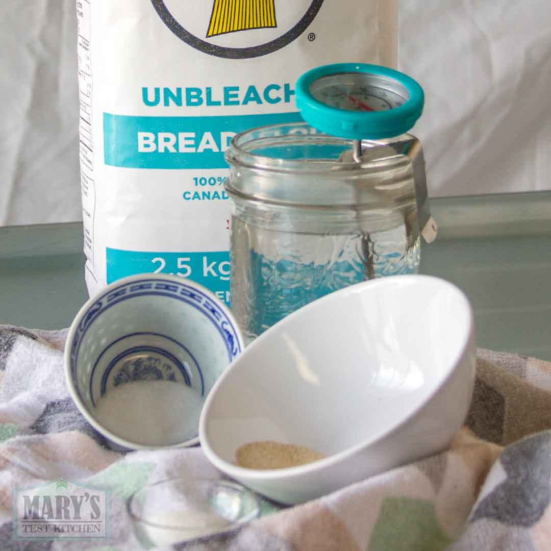 ingredients for no knead banh mi are yeast, sugar, warm water and bread flour