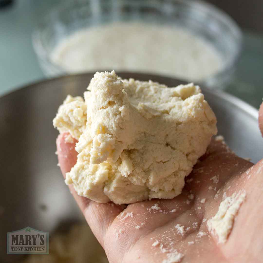 leftover soy pulp also known as okara