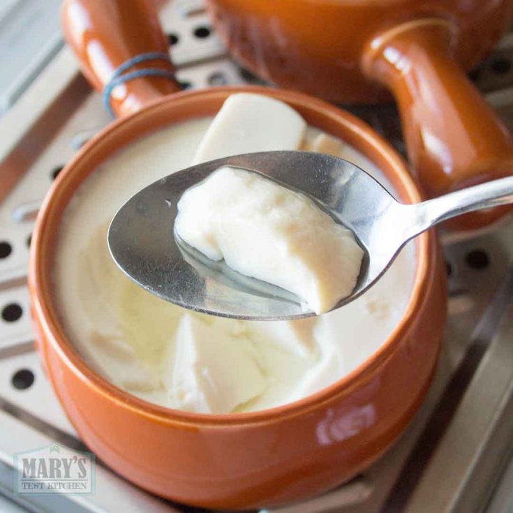 Homemade Silken Tofu with GDL (Pour-Over VS Steaming)