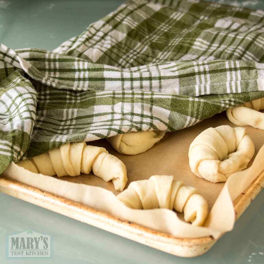 easy vegan croissant dough shaped and covered with damp cloth to let rise