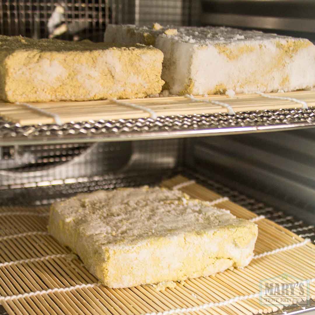 salted pistachio cheeses aging in dehydrator